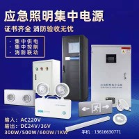 A型应急照明集中电源 DC24V DC36V智能疏散指示系统