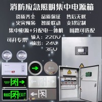 0.3kw应急照明集中电源控制箱 A型应急照明集中电源