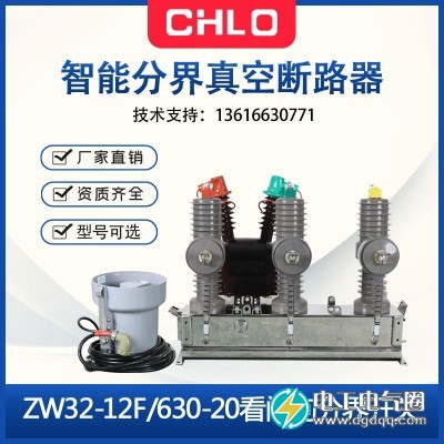 ZW32-12真空断路器zw32真空开关带后备电池图1